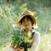 Comment by Christopher Brown